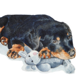 cute puppy rottweiler cuddling teddy bear puzzle