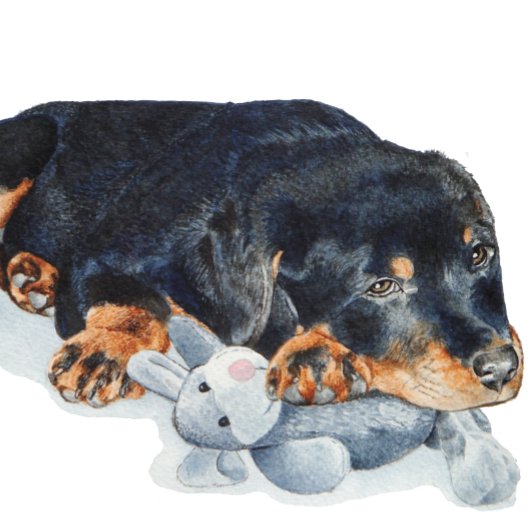 cute puppy rottweiler cuddling teddy bear puzzle
