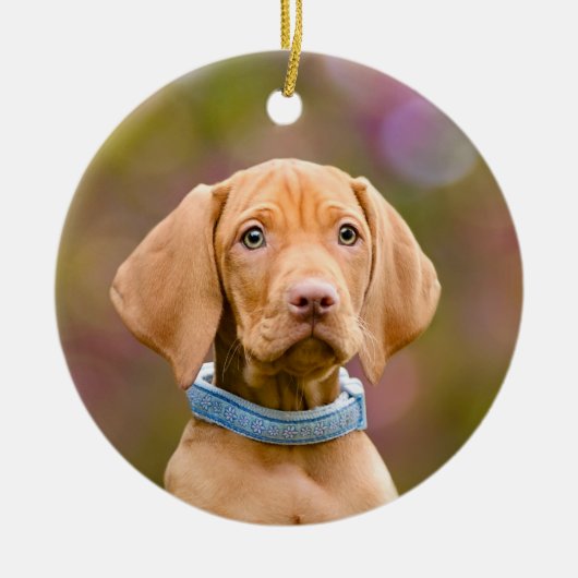 Cute puppyeyed Hungarian Vizsla Dog Puppy Photo , Keramikornament (Vorne)