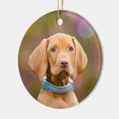 Cute puppyeyed Hungarian Vizsla Dog Puppy Photo , Keramikornament (Links)