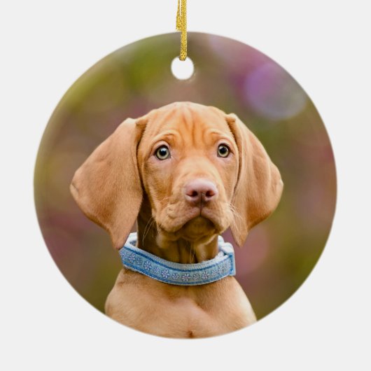 Cute puppyeyed Hungarian Vizsla Dog Puppy Photo , Keramikornament (Hinten)