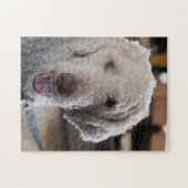 Cute Puzzle (Horizontal)