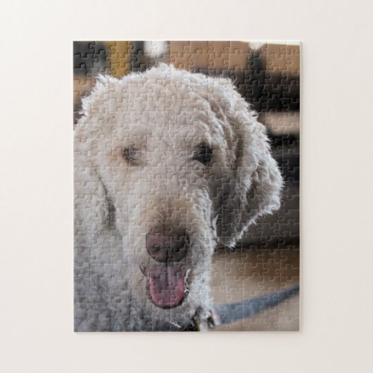 Cute Puzzle (Vertikal)