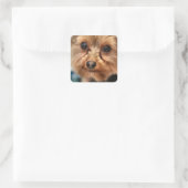 Cute Quadratischer Aufkleber (Tasche)