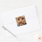 Cute Quadratischer Aufkleber (Umschlag)