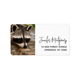 Cute Raccoon Resting on a Log Adressaufkleber