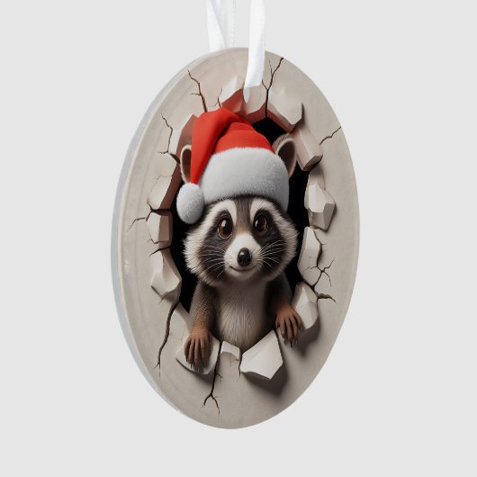 Cute Racoon Double-Sided Holiday Ornament (Vorderseite)