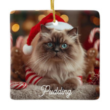 Cute Ragdoll Cat Christmas Magic Personalized 