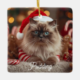 Cute Ragdoll Cat Christmas Magic Personalized Keramikornament
