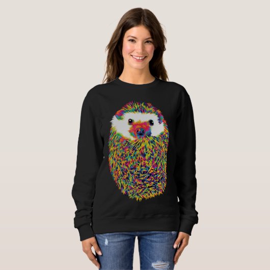 Cute Rainbow Hedgehog Sweatshirt (Vorne ganz)