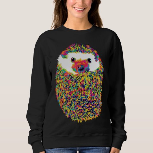 Cute Rainbow Hedgehog Sweatshirt (Vorderseite)
