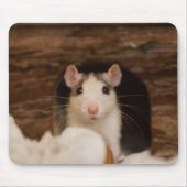 Cute Rat Mousepad (Vorne)