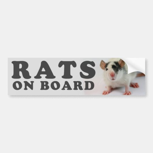 (Cute) Ratten man board Autoaufkleber (Vorne)