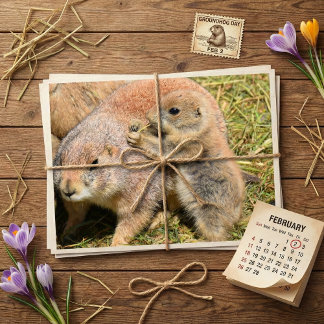 Cute Realistic Groundhog Family Photo Postkarte