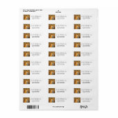 Cute Red Fox Wilderness Nature Fotograf (Vorne)