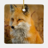 Cute Red Fox Wilderness Nature Fotograf Keramikornament (Rückseite)
