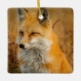 Cute Red Fox Wilderness Nature Fotograf Keramikornament