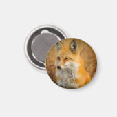 Cute Red Fox Wilderness Nature Fotograf Magnet (Vorderseite/Rückseite)