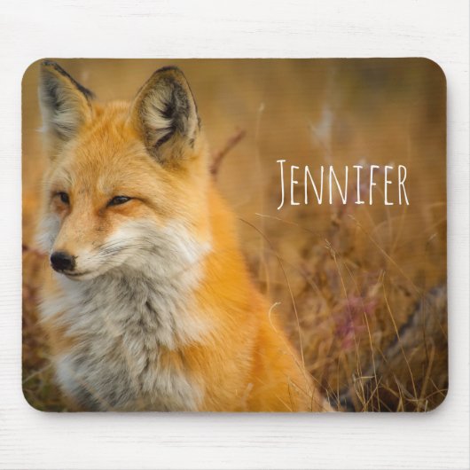 Cute Red Fox Wilderness Nature Fotograf Mousepad (Vorne)