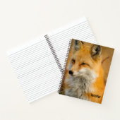 Cute Red Fox Wilderness Nature Fotograf Notizblock (Innenseite)