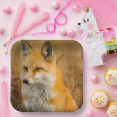 Cute Red Fox Wilderness Nature Fotograf Pappteller (Party)