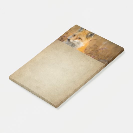 Cute Red Fox Wilderness Nature Fotograf Post-it Klebezettel (angewinkelt)