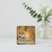 Cute Red Fox Wilderness Nature Fotograf Quadratische Visitenkarte (Stehend Vorderseite)