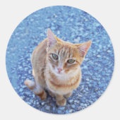 Cute red kitten runder aufkleber (Vorderseite)