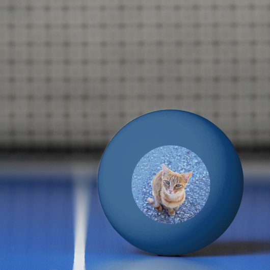 Cute red kitten tischtennisball (Netto)