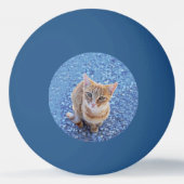 Cute red kitten tischtennisball (Rückseite)