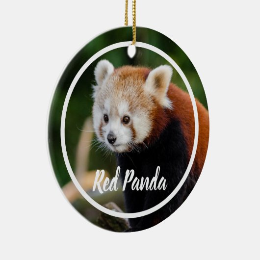Cute Red Panda Frame Keramik Ornament (Rechts)