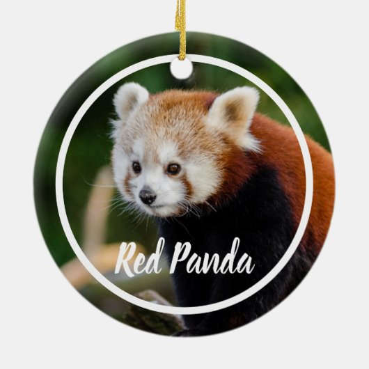 Cute Red Panda Frame Keramik Ornament (Hinten)