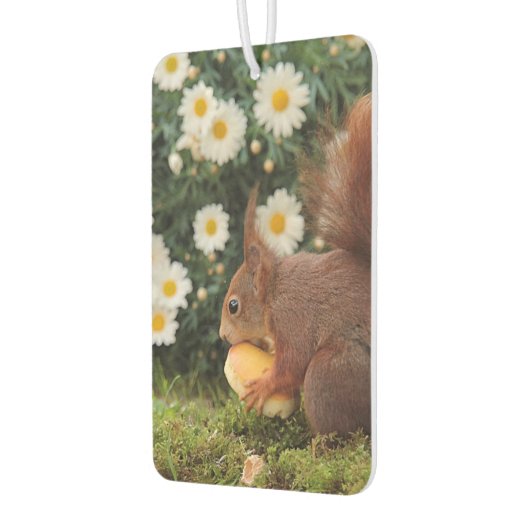 Cute Red Squirrel and Daisies Photo Autolufterfrischer (Links)