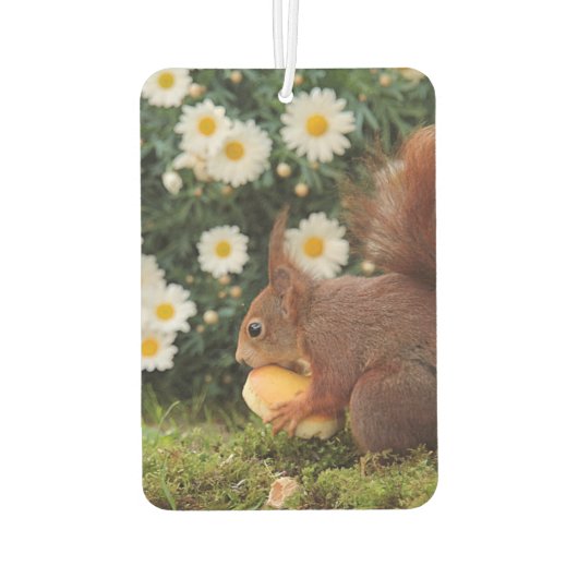 Cute Red Squirrel and Daisies Photo Autolufterfrischer (Rückseite)