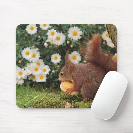 Cute Red Squirrel and Daisies Photo Mousepad (Mit Mouse)