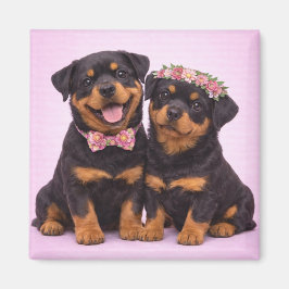 Cute Rottweiler Couple Valentine Illustration Magnet