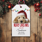 Cute Santa Goldendoodle Christmas Geschenkanhänger