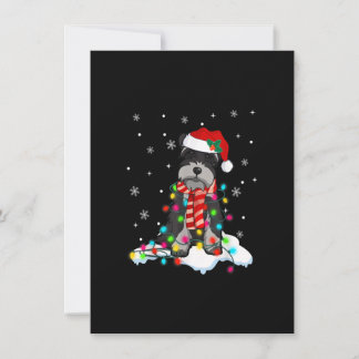 Cute Schnauzer Christmas Lights With Santa Hat Dog Einladung