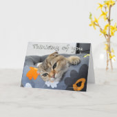 Cute scottish fold cat thinking of you card karte (Gelbe Blume)