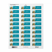 Cute Sea Turtle in the Ocean Cartoon (Vorne)