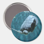 Cute Sea Turtle swimming in the ocean Photo Magnet (Vorderseite/Rückseite)
