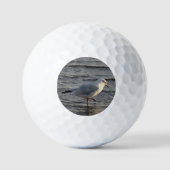 Cute Seagull Golfball (Vorderseite)