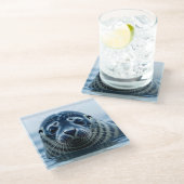 Cute Seal Close up Glasuntersetzer (Schrägansicht)