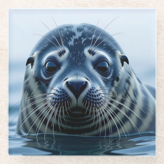 Cute Seal Close up Glasuntersetzer (Vorderseite)