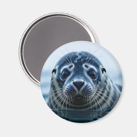 Cute Seal Close up Magnet (Vorderseite/Rückseite)