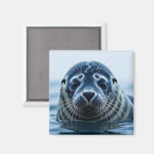Cute Seal Close up Magnet (Vorderseite/Rückseite)