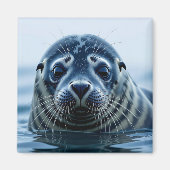 Cute Seal Close up Magnet (Vorne)