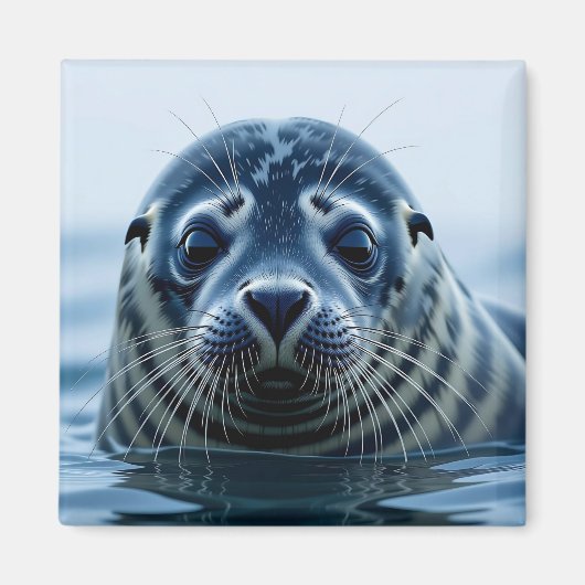Cute Seal Close up Magnet (Vorne)