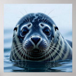 Cute Seal Close up Poster