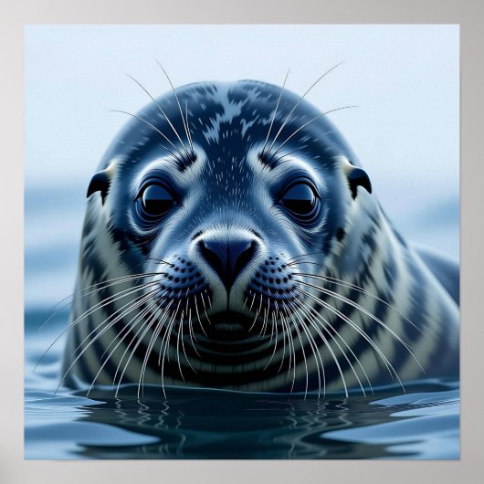 Cute Seal Close up Poster (Vorne)